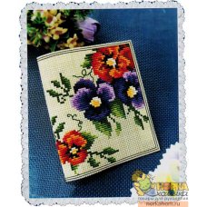 Pansy