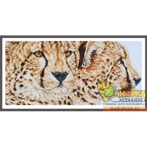 Cheetah Pair