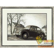 Старая фотография. Жук