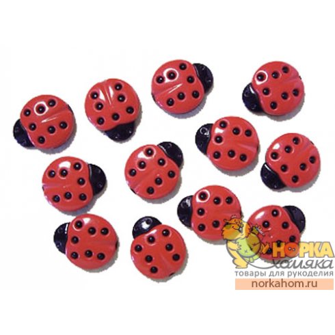 Ladybugs