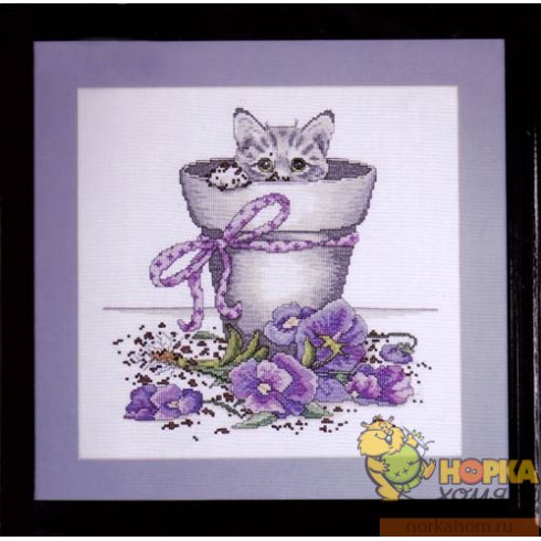 Flowerpot Kitty Flowerpot Kitty