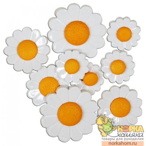 Just Daisies