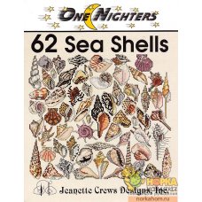 62 Sea Shells 