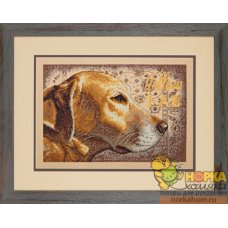 Yellow Lab