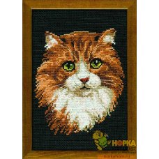 Рыжий кот