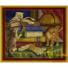 Котята с книгами
