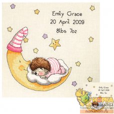 Birth Sampler
