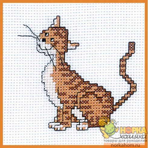 Кошка