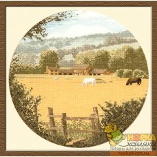 Buttercup Meadow