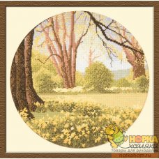 Daffodil Wood