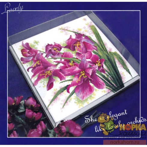 Lovely Orchids