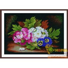 Примула и анютины глазки 