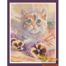 Кошачьи грезы
