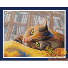 Кот-книголюб