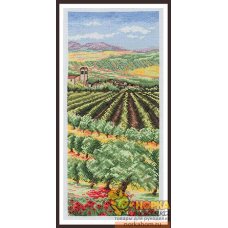Italian Olive Groves
