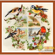 British Birds And Seasons