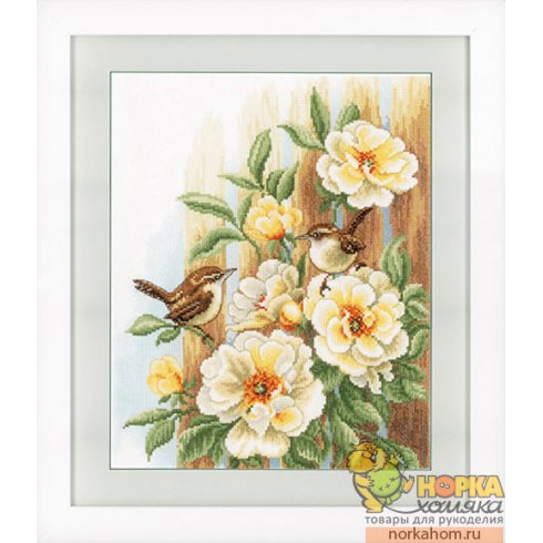 Wren on Roses Wren on Roses