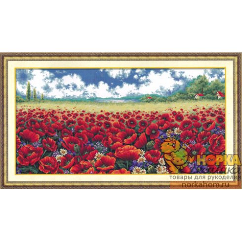 Poppy field Poppy field
