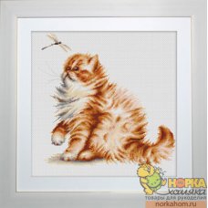 Кошка со стрекозой