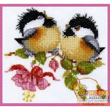 Fuchsia Chick-Chat
